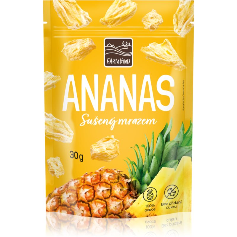 Farmland Ananas mrazem sušené ovoce 30 g