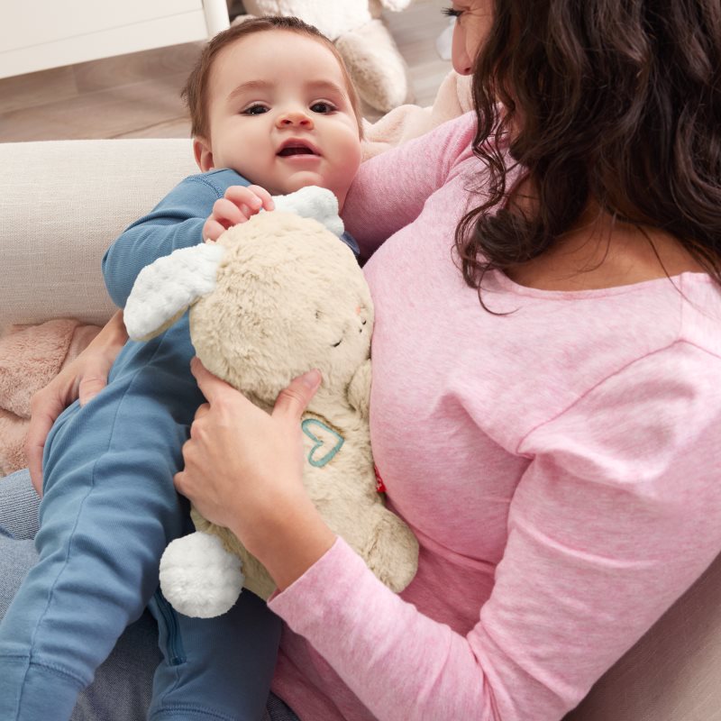 Fisher-Price Soothe & Settle Bunny plyšová hračka s melodií 1 ks (obrázek 4)