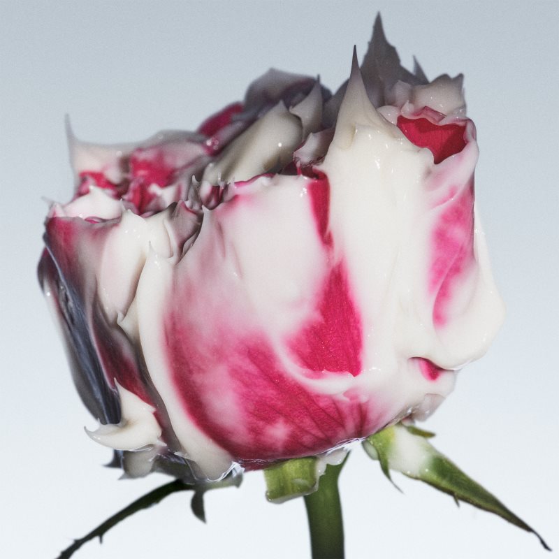 fresh Rose Deep Hydration Face Cream hydratační krém na obličej s kyselinou hyaluronovou 50 ml (obrázek 10)