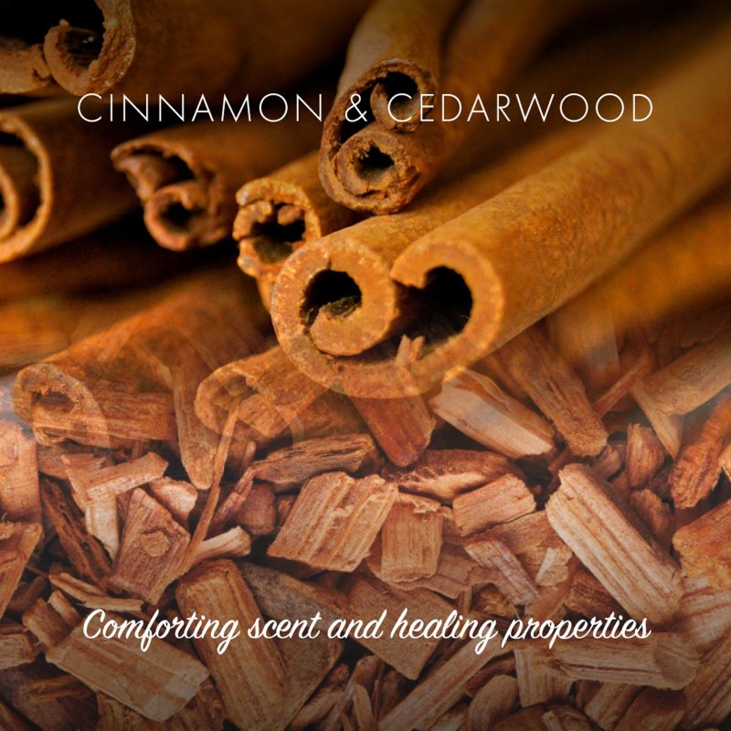 Friendly Soap Natural Soap Cinnamon prírodné mydlo 7x95 g
