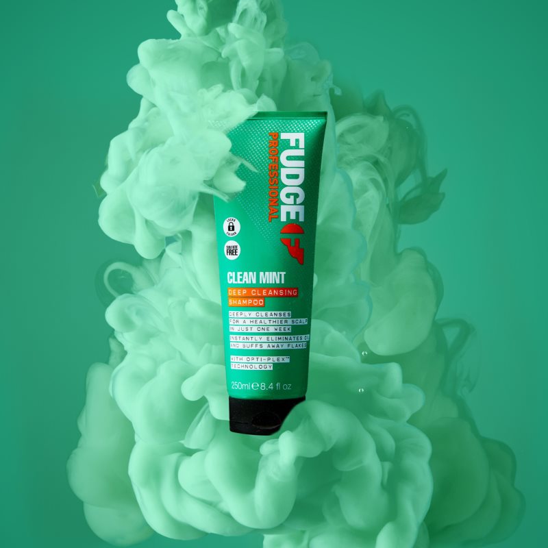 Fudge Clean Mint Shampoo шампунь для жирного волосся 250 мл