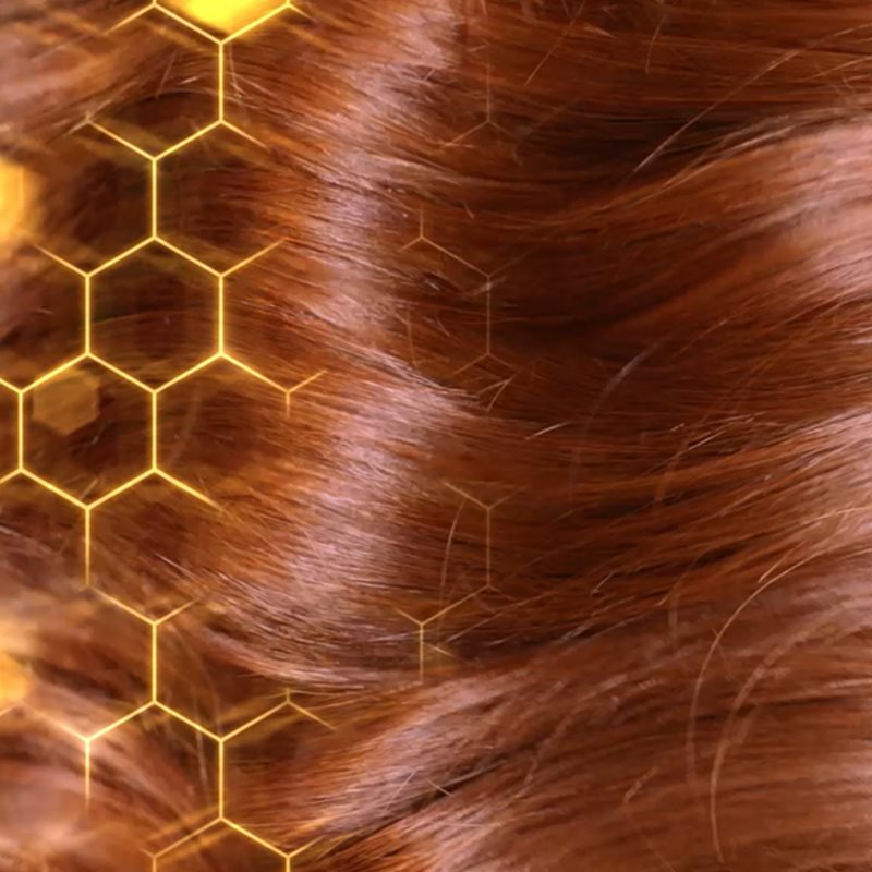 Garnier Botanic Therapy Honey & Propolis відновлюючий шампунь для пошкодженого волосся 250 мл