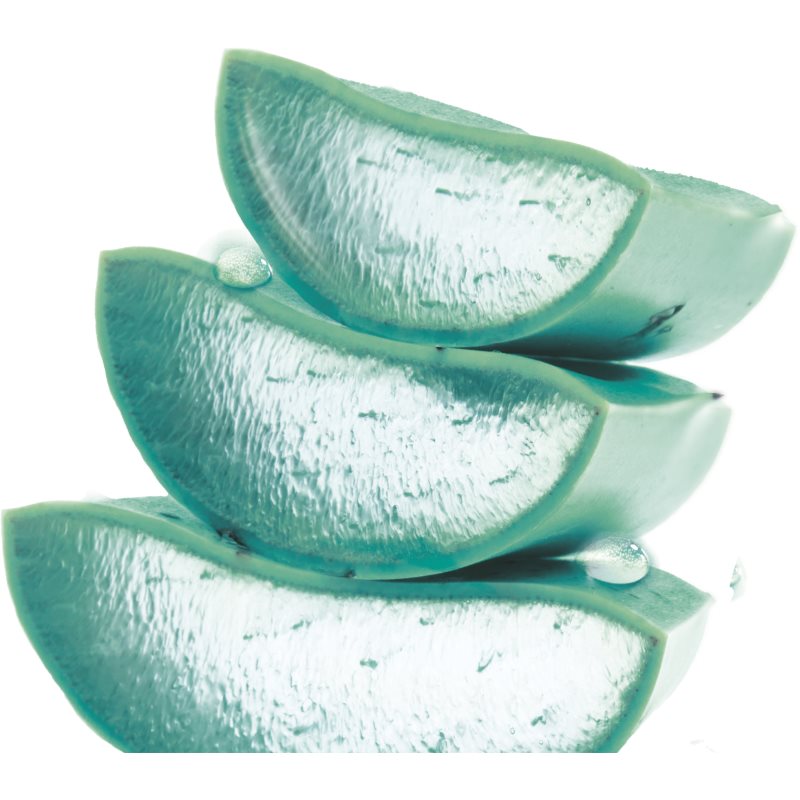 Garnier Skin Naturals Hyaluronic Aloe Jelly Moisturising Day Cream With Gel Consistency 50 Ml