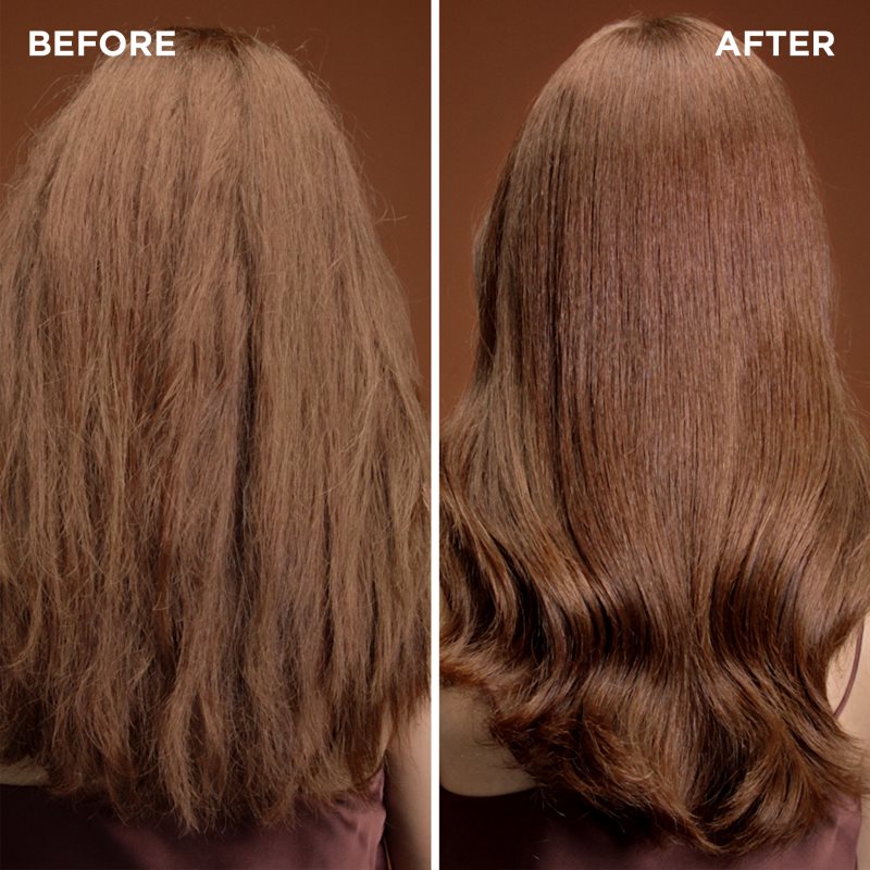 Garnier Botanic Therapy Hair Remedy Regenerating Mask For Damaged Hair 340 Ml