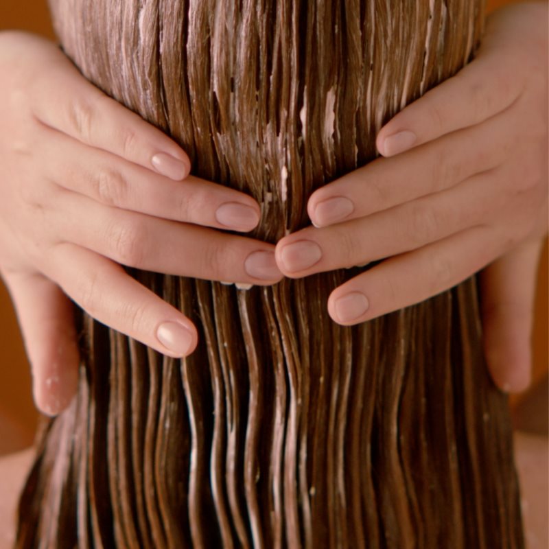 Garnier Botanic Therapy Hair Remedy маска для регенерації для пошкодженого волосся 340 мл