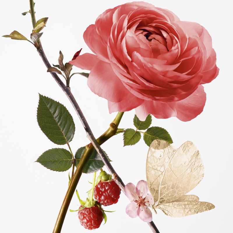 GOUTAL Rose Pompon Eau De Parfum For Women 100 Ml