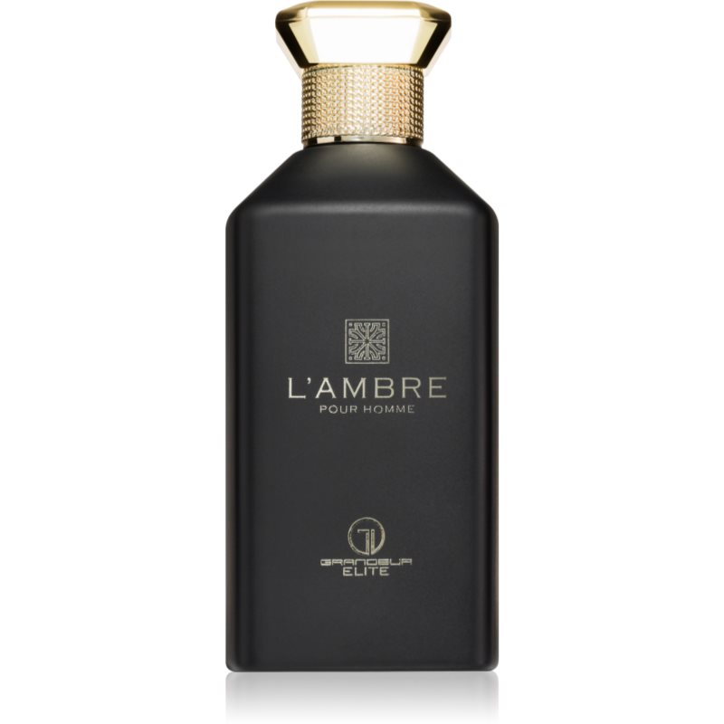 Grandeur L'Ambre parfumovaná voda pre mužov 100 ml