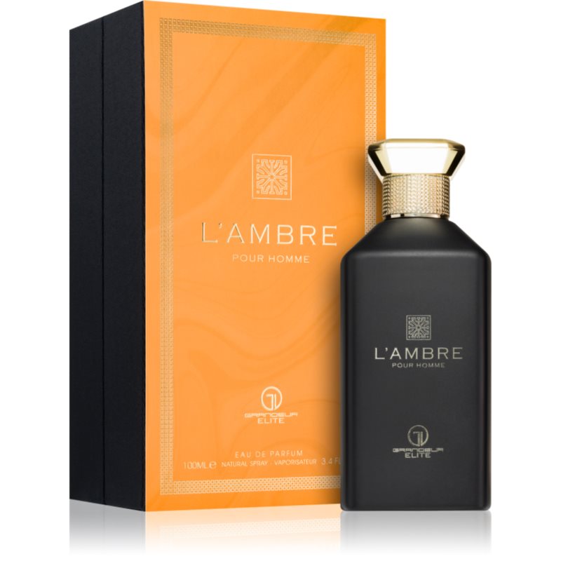 Grandeur L'Ambre parfémovaná voda pro muže 100 ml