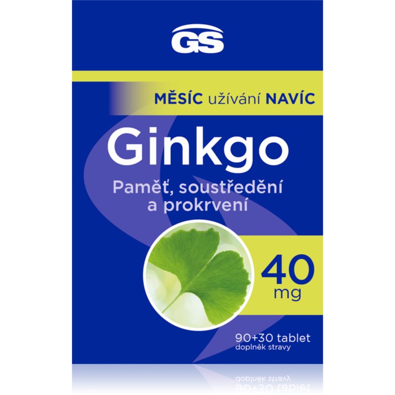 GS Ginkgo 40mg tbl.90+30