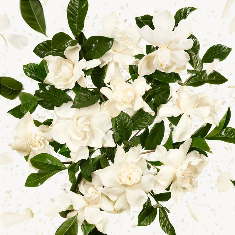 Gucci Flora Gorgeous Gardenia parfémovaná voda pro ženy Refill 150 ml (obrázek 5)