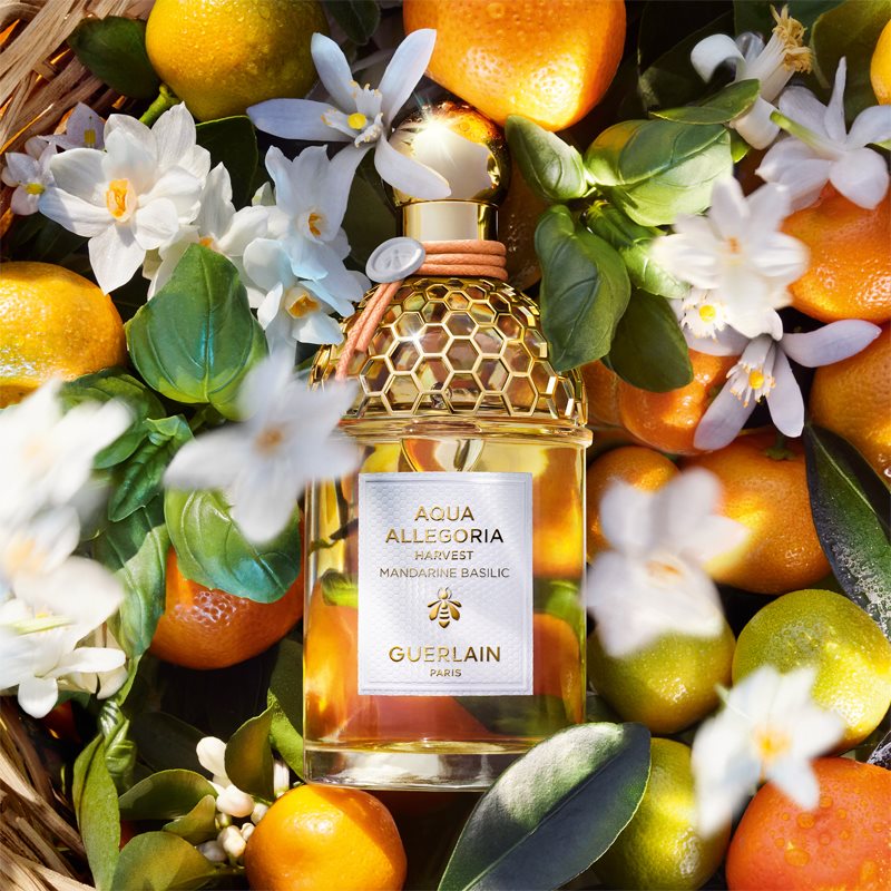 GUERLAIN Aqua Allegoria Mandarine Basilic Harvest туалетна вода для жінок Лімітоване видання 125 мл