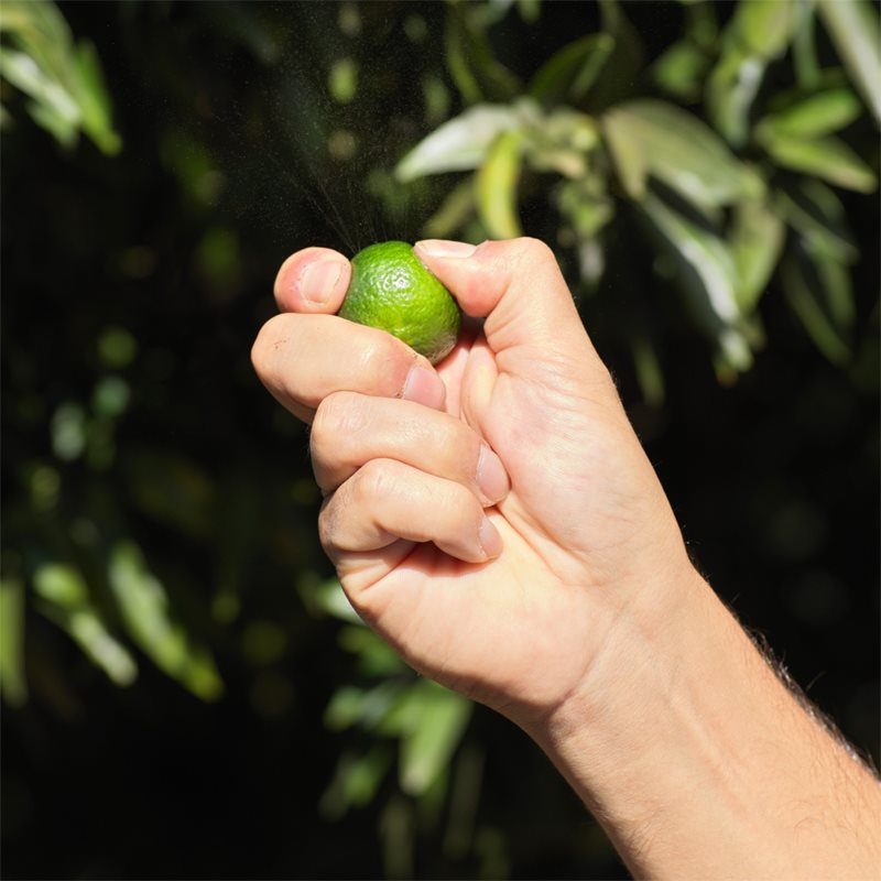 GUERLAIN Aqua Allegoria Mandarine Basilic Harvest туалетна вода для жінок Лімітоване видання 125 мл