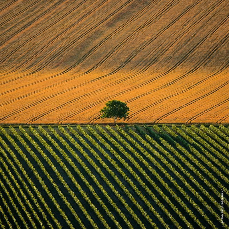 GUERLAIN Aqua Allegoria Mandarine Basilic Harvest туалетна вода для жінок Лімітоване видання 125 мл