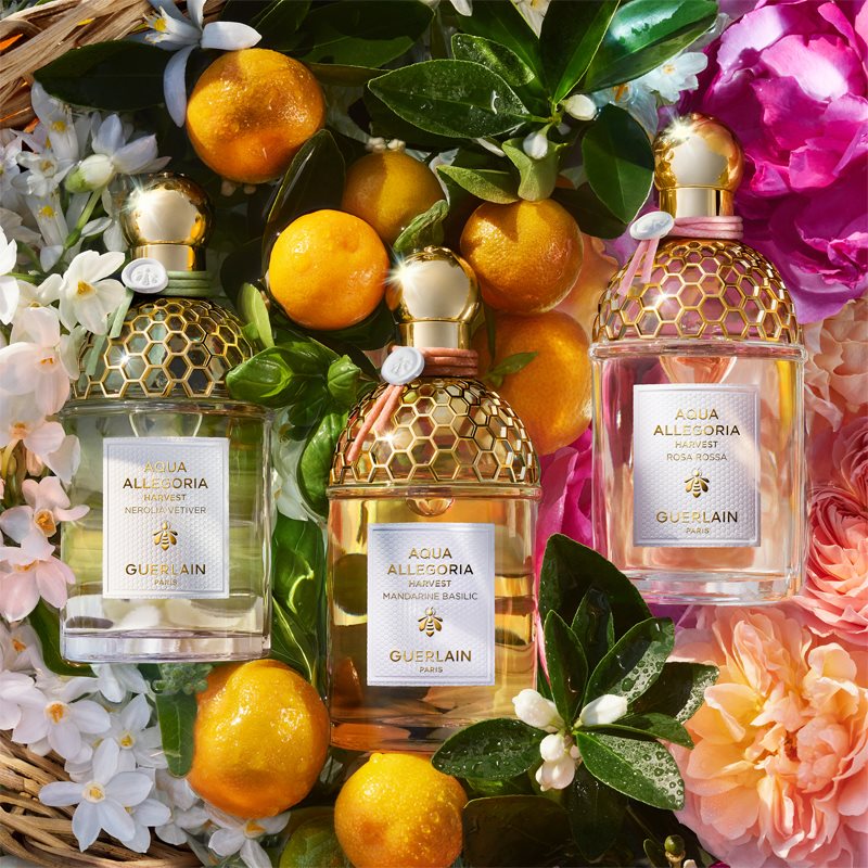 GUERLAIN Aqua Allegoria Mandarine Basilic Harvest туалетна вода для жінок Лімітоване видання 125 мл