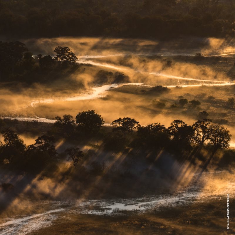 GUERLAIN Aqua Allegoria Bosca Vanilla Forte парфумована вода з можливістю повторного наповнення для жінок 125 мл