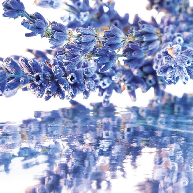 GUERLAIN Mon Guerlain dárková sada pro ženy (obrázek 3)