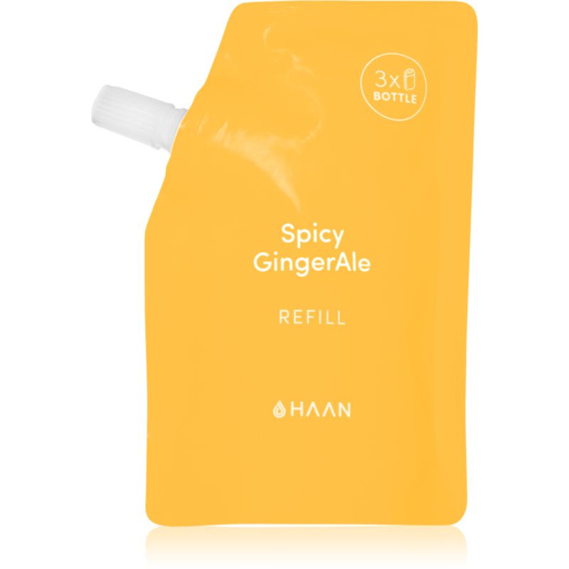 HAAN Hand Care Spicy GingerAle čistiaci sprej na ruky s antibakteriálnou prísadou náhradná náplň 100 ml
