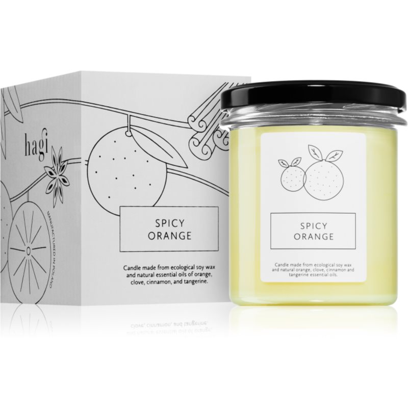 Hagi Hagi Spicy Orange αρωματικό κερί 230 γρ