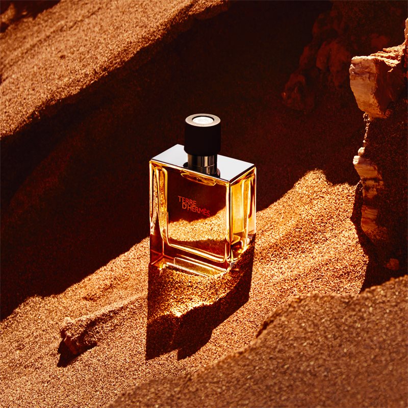 HERMÈS Terre D’Hermès Perfume For Men 75 Ml