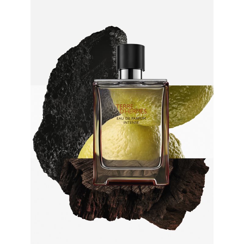 HERMÈS Terre d’Hermès Eau de Parfum Intense parfémovaná voda intense pro muže 30 ml (obrázek 3)