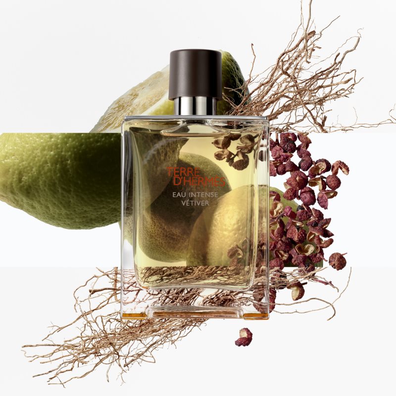 HERMÈS Terre d’Hermès Eau Intense Vétiver parfumovaná voda pre mužov 50 ml (obrázok 4)
