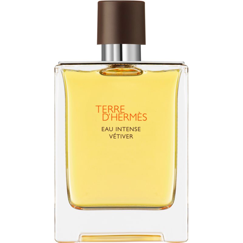 HERMES Terre d'Hermes Eau Intense Vetiver eau de parfum for men 100 ml
