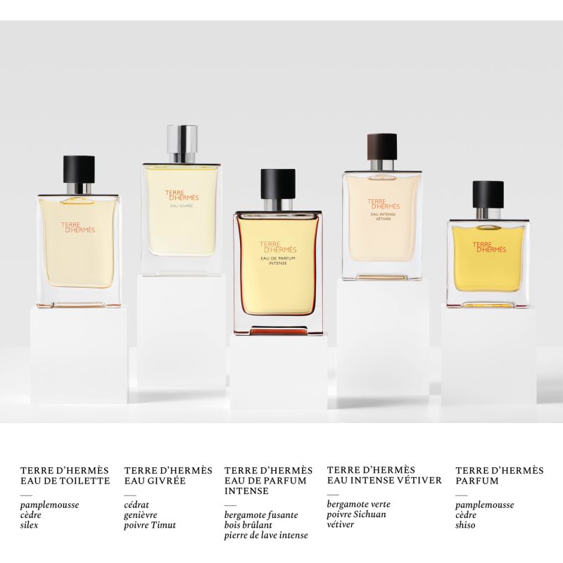 HERMÈS Terre d’Hermès Eau Intense Vétiver parfumovaná voda pre mužov 100 ml (obrázok 5)