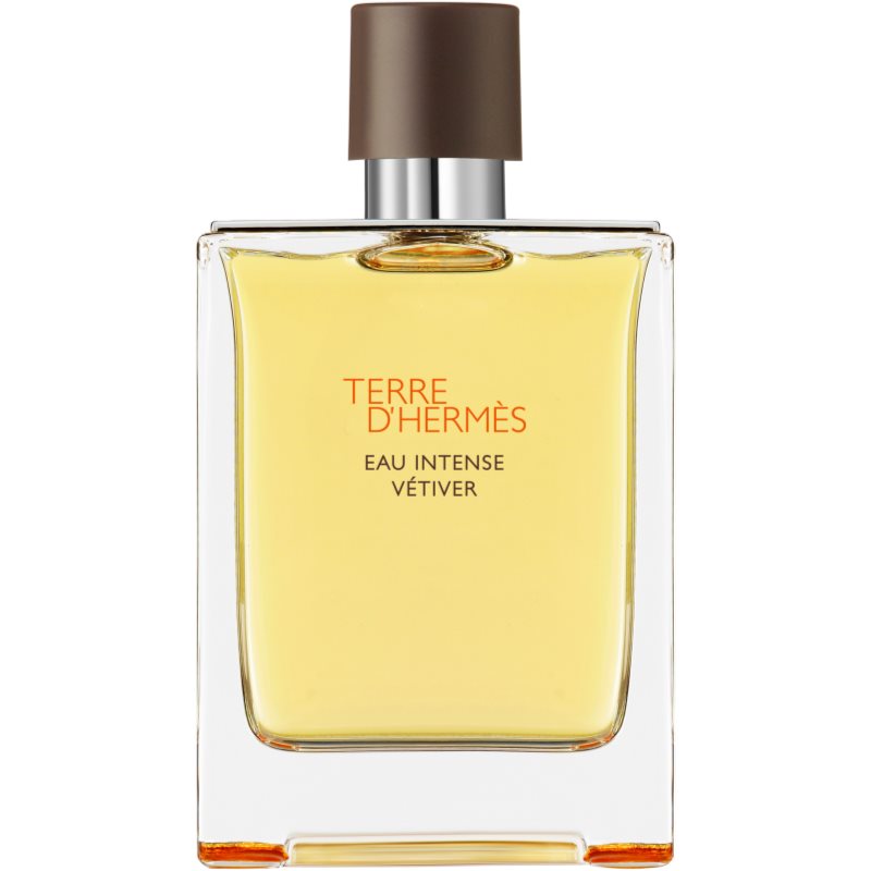 HERMES Terre d'Hermes Eau Intense Vetiver eau de parfum for men 200 ml

