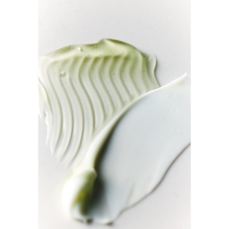 House of Hur Phyto Brew Matcha Dual Cream And Gel hydratačný a rozjasňujúci pleťový krém duálne 50 ml (obrázok 3)