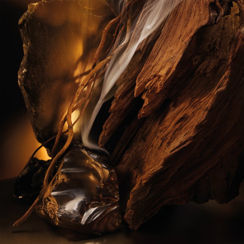 Hugo Boss BOSS Bottled Elixir parfémovaná voda intense pro muže 50 ml (obrázek 4)