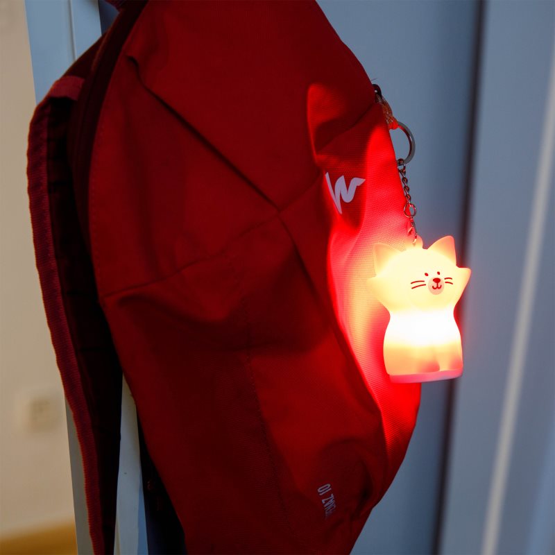 InnoGIO GIOkeyring Porte-clés Cat 1 Pcs