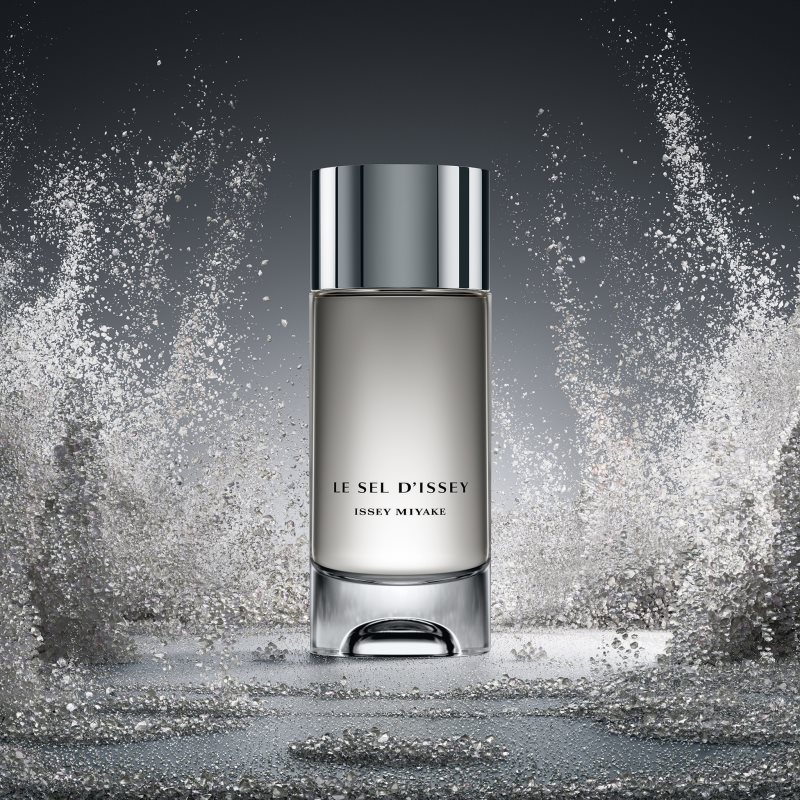 Issey Miyake Le Sel d'Issey toaletní voda pro muže 150 ml (obrázek 3)