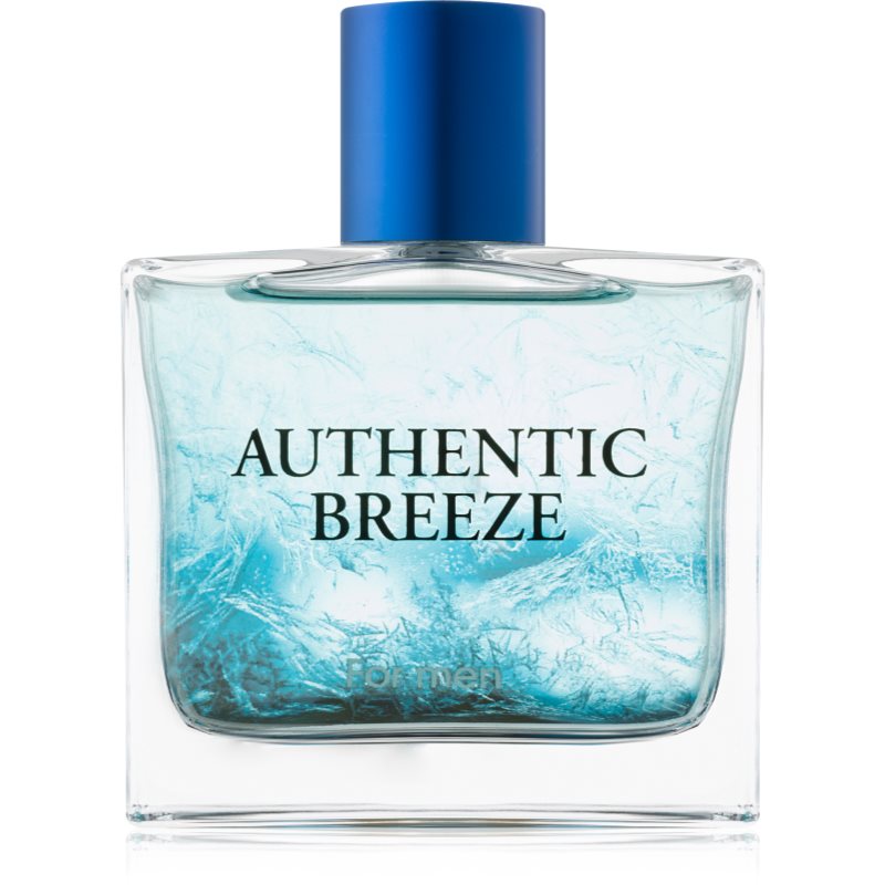 

Jeanne Arthes Authentic Breeze туалетна вода для чоловіків