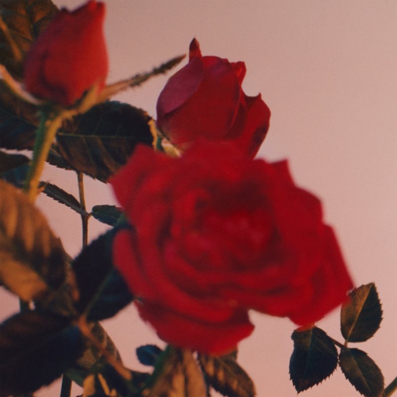 Jil Sander Sunset Eau De Parfum Eau De Parfum Intense Pour Femme 30 Ml