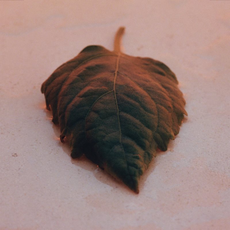 Jil Sander Sunset Eau De Parfum Eau De Parfum Intense Pour Femme 30 Ml