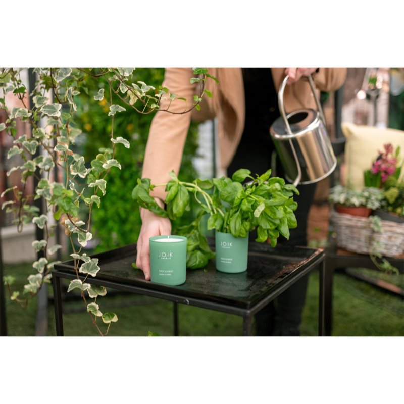 JOIK Home & Spa Basil & Mint Aроматична свічка 150 гр