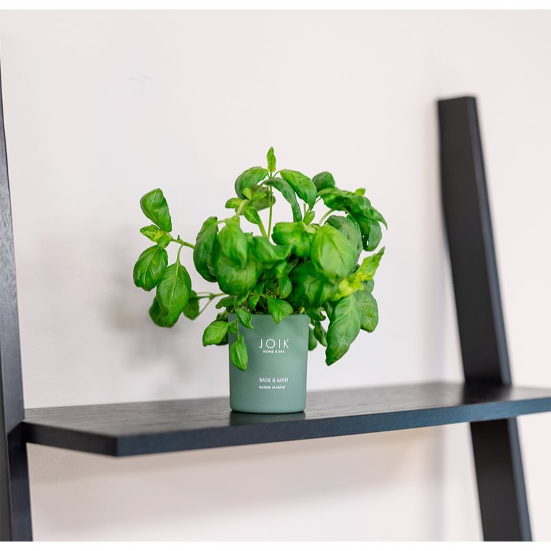 JOIK Home & Spa Basil & Mint Aроматична свічка 150 гр