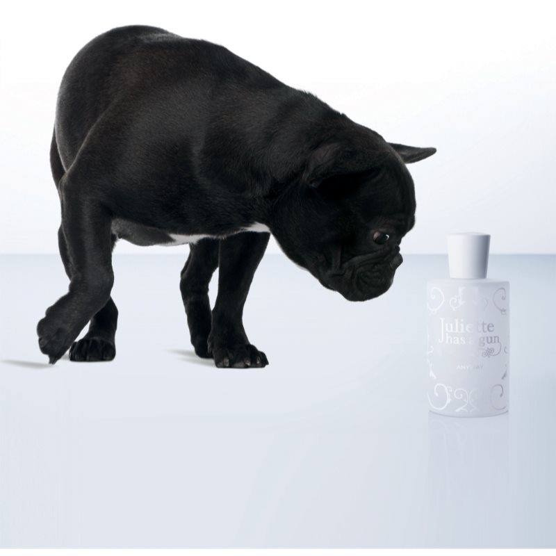 Juliette Has A Gun Anyway Eau De Parfum Unisex 100 Ml