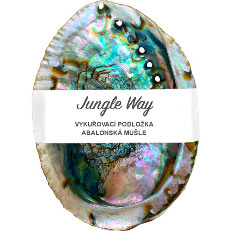 Jungle Way Abalone Shell підставка для куріння пахощів 1 кс