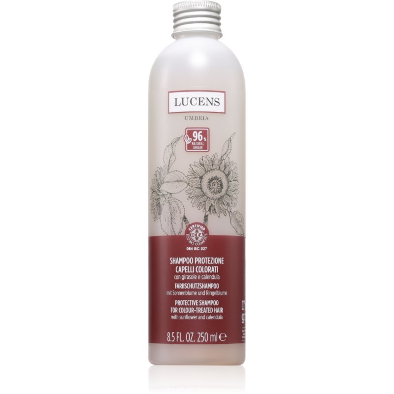 Kemon Group Shampoo Protezione šampon pro ochranu barvy 250 ml