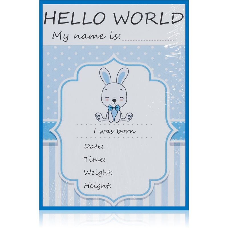KidPro Milestone Cards Bunny For a Boy kartice z mejniki