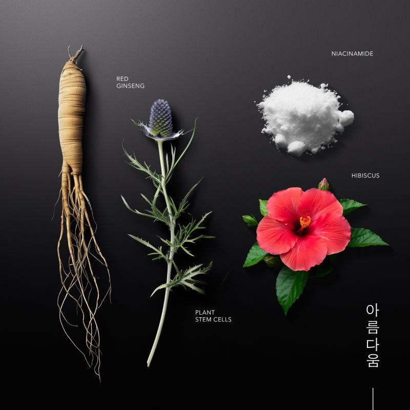 KORIKA Korean Heritage Ginseng & Marine Stem Cells Anti-aging Sun Fluid SPF 50 ochranný fluid proti starnutiu pleti SPF 50 50 ml (obrázok 4)