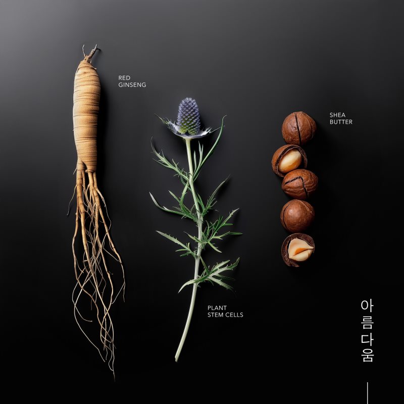 KORIKA Korean Heritage Ginseng & Marine Stem Cells Youth Elixir Cream vyživujúci antioxidačný krém na omladenie pleti 50 ml (obrázok 3)