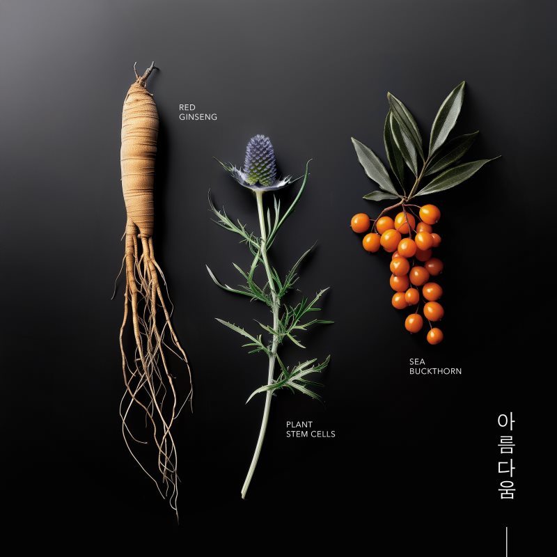 KORIKA Korean Heritage Ginseng & Marine Stem Cells Cell Renew Eye Cream omladzujúci hydratačný krém na očné okolie 15 ml (obrázok 3)