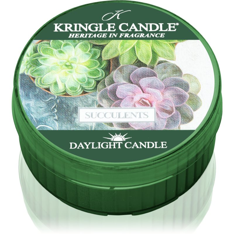 Kringle Candle Succulents Tealight Candle 42 G