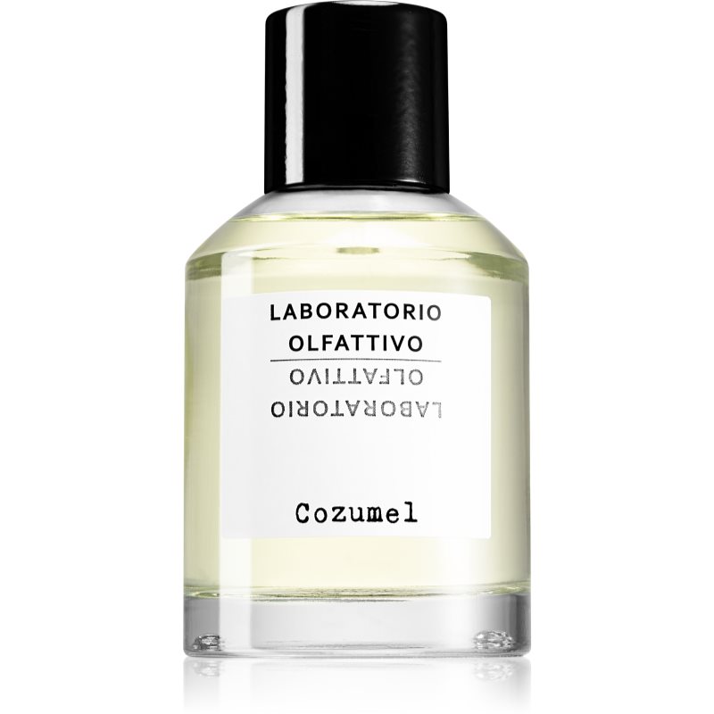 Laboratorio Olfattivo Cozumel parfumovaná voda pre mužov 100 ml