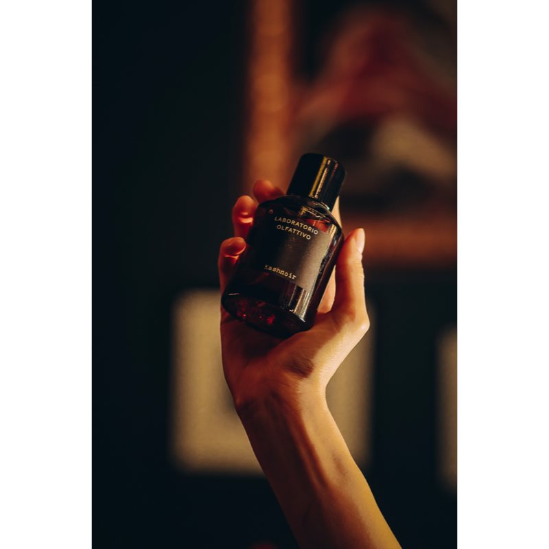 Laboratorio Olfattivo Kashnoir parfémovaná voda unisex 100 ml (obrázek 3)