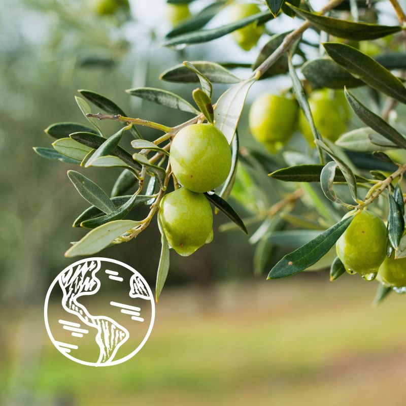Le Petit Marseillais Olive Leaf Bio Organic освіжаючий гель для душа 250 мл