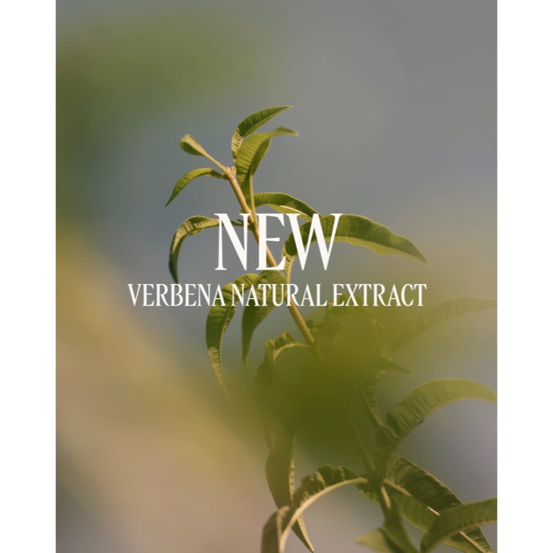 L’Occitane Verveine Perfumed Body Lotion Bodylotion für Damen 250 ml (Bild 3)