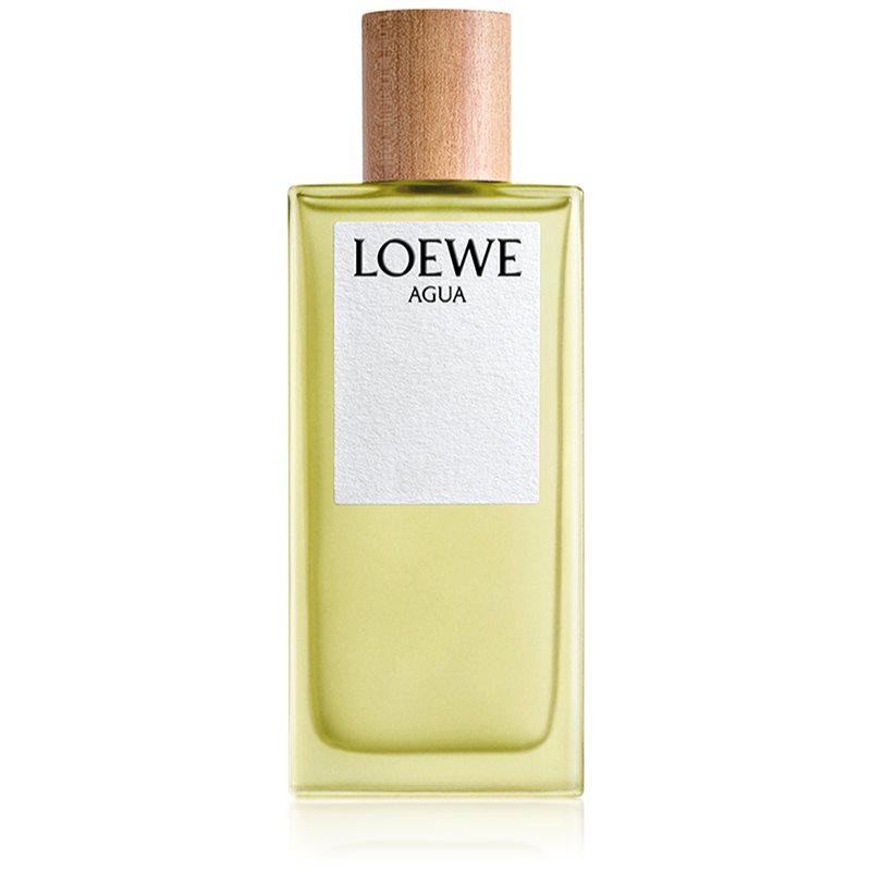 Loewe Agua tualetinis vanduo Unisex 100 ml